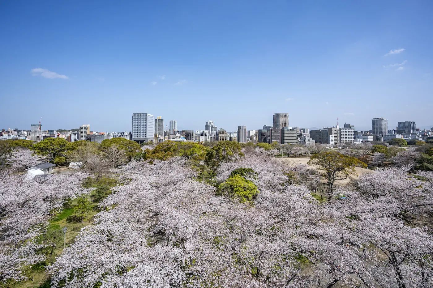 ホテルオークラ福岡 イベント 舞鶴公園（福岡城跡）