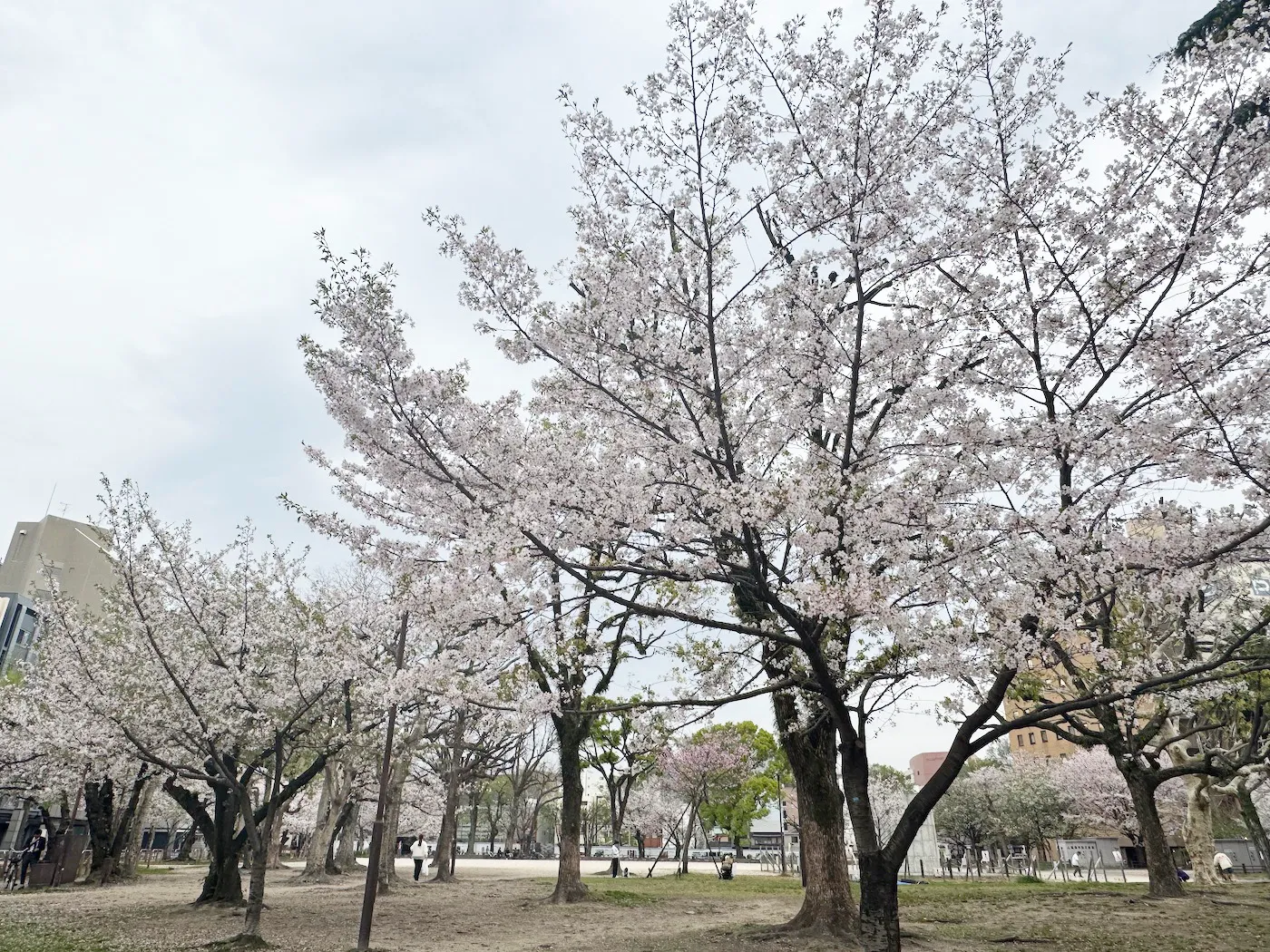 ホテルオークラ福岡 イベント 舞鶴公園（福岡城跡）