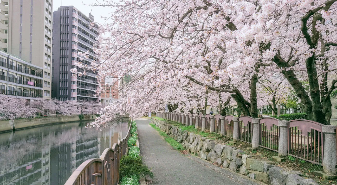 ホテルオークラ福岡 イベント 舞鶴公園（福岡城跡）